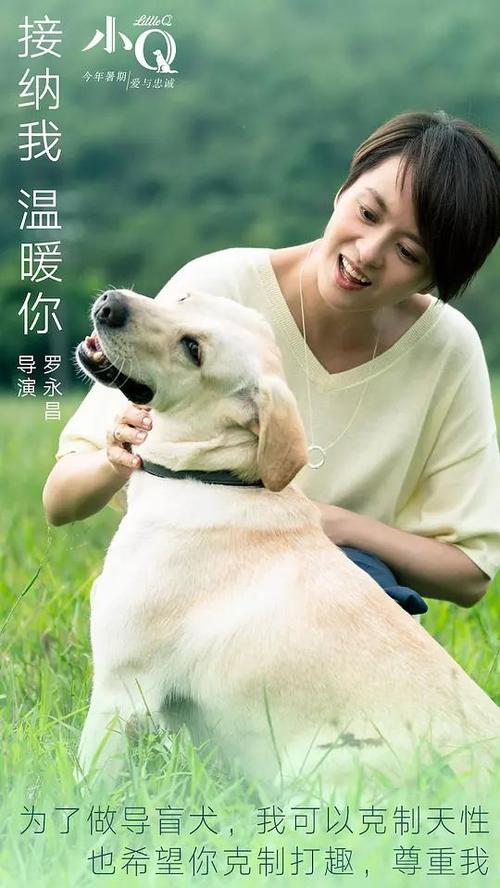 斯托本佛朗西斯大学Diploma in Marketing